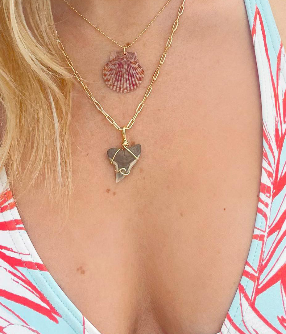 Shark Teeth Jewelry