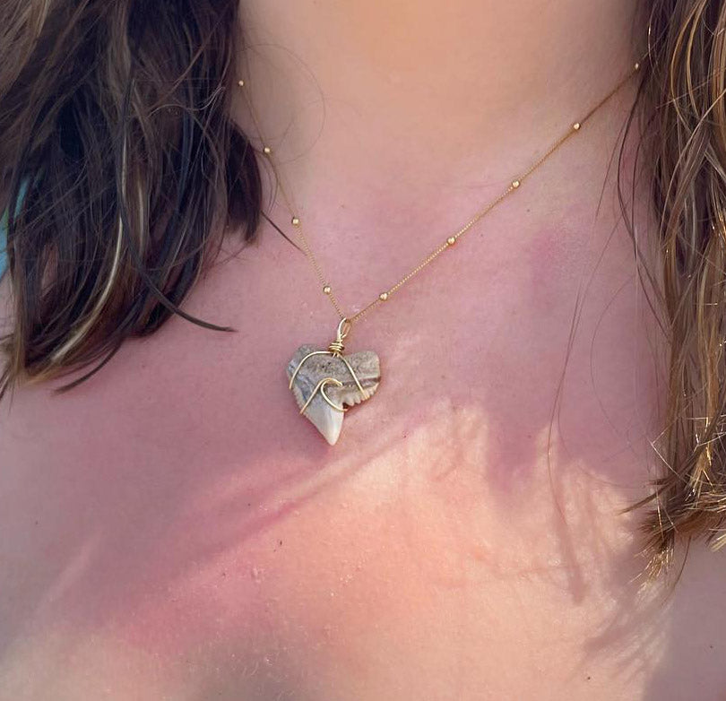 Shark Teeth Jewelry