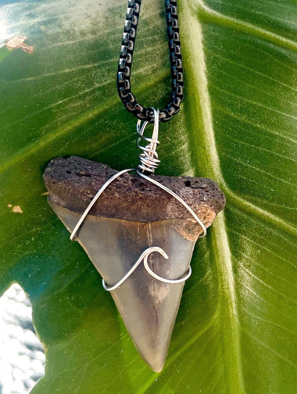 Shark Teeth Jewelry