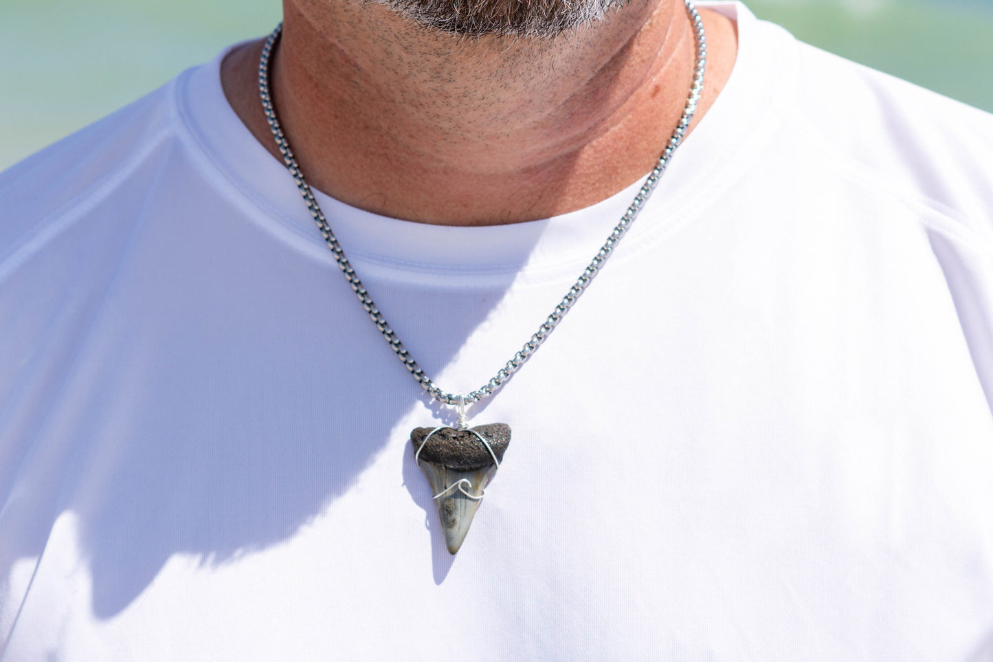 Shark Teeth Jewelry