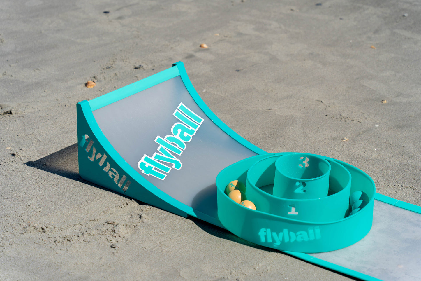 Flyball beach game