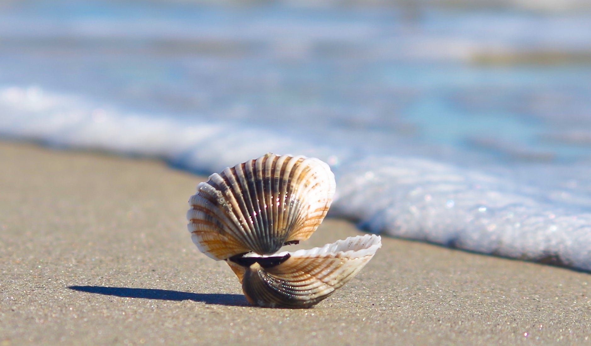 Sunset Beach Glass Prints